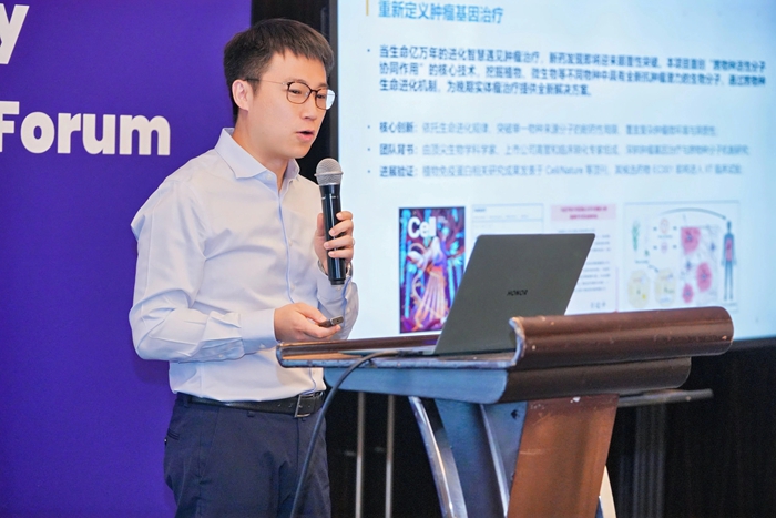 娱乐城