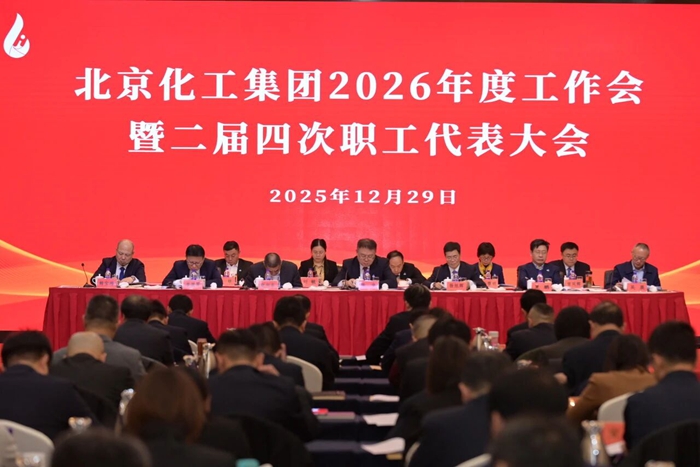 娱乐城
