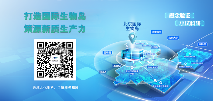 娱乐城