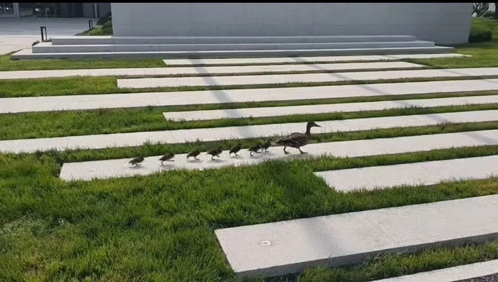 娱乐城