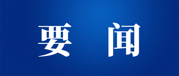 娱乐城