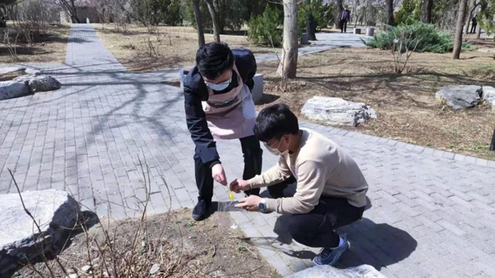 娱乐城