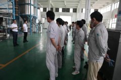 娱乐城