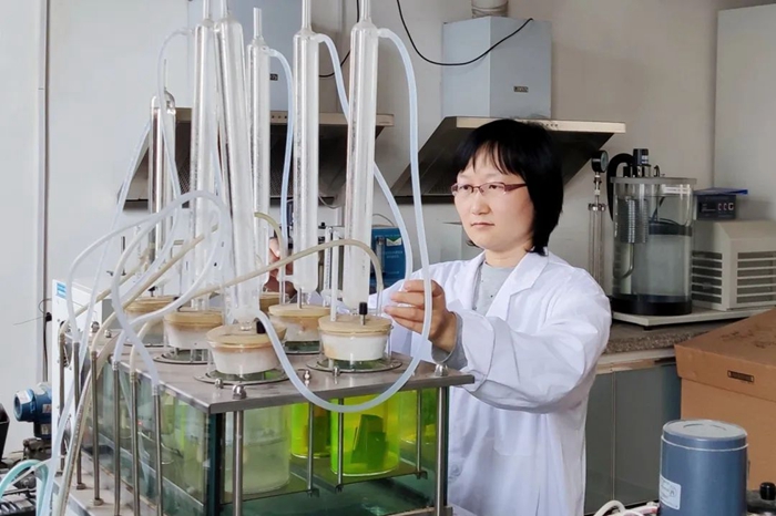 娱乐城