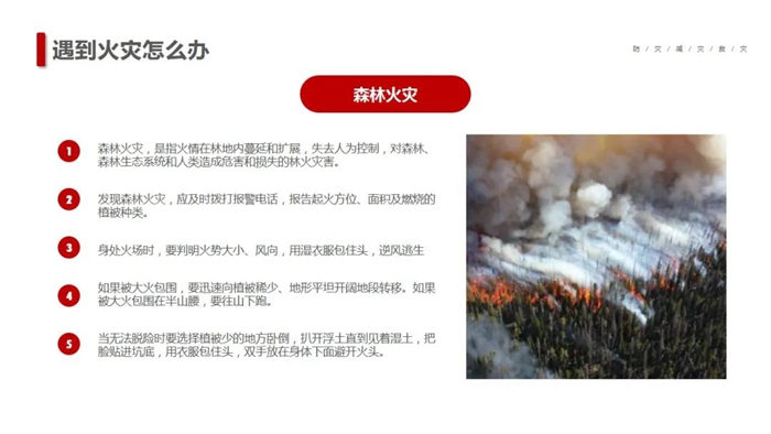 娱乐城