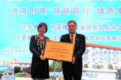 娱乐城